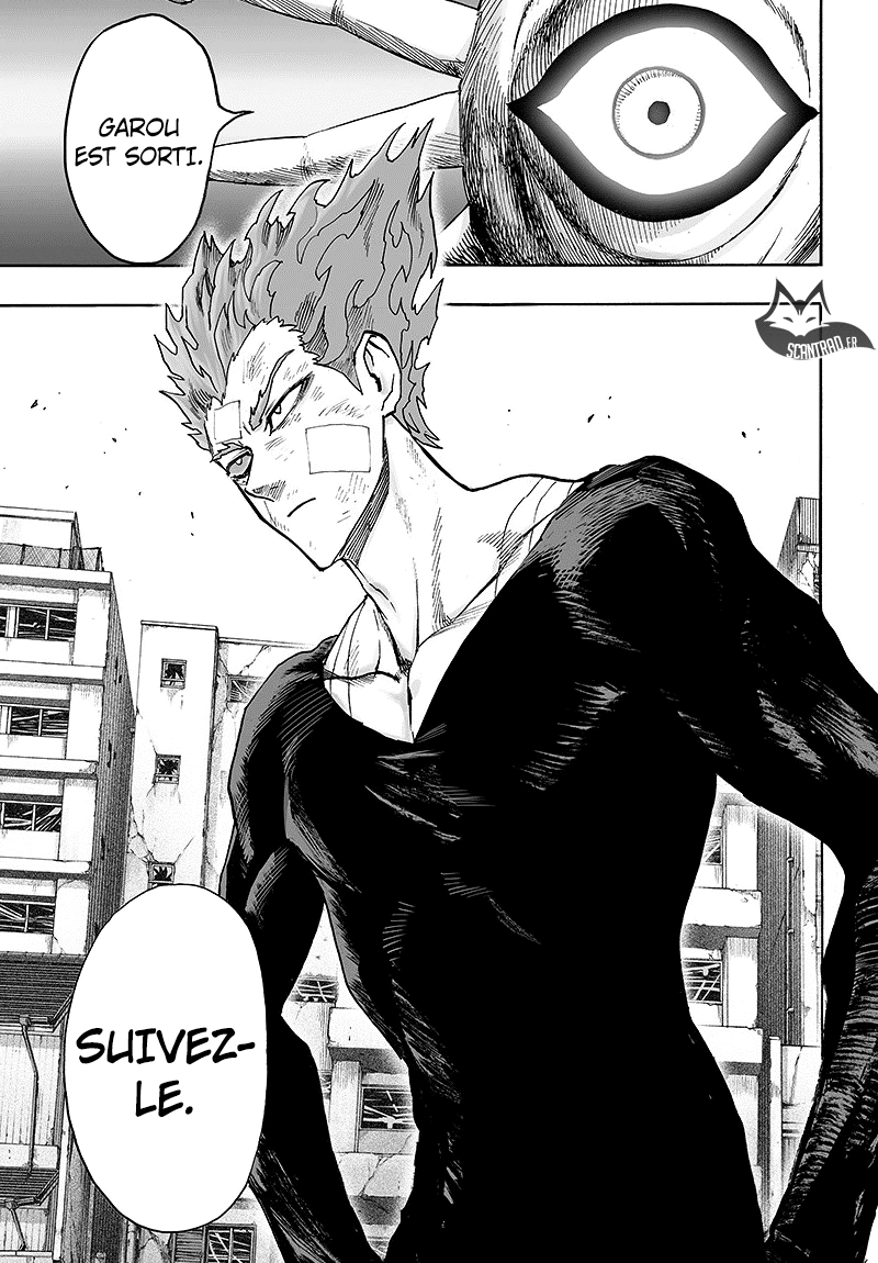 Read One Punch man (fr) Manga Online