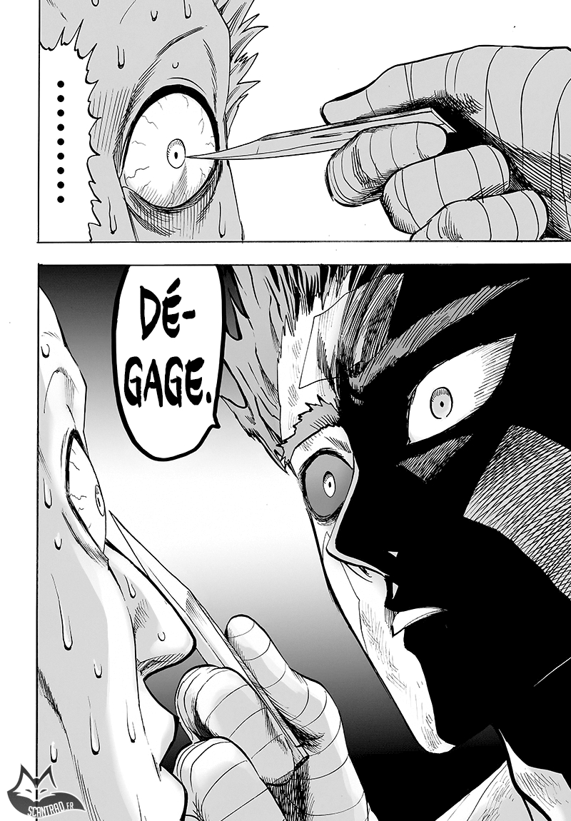 Read One Punch man (fr) Manga Online