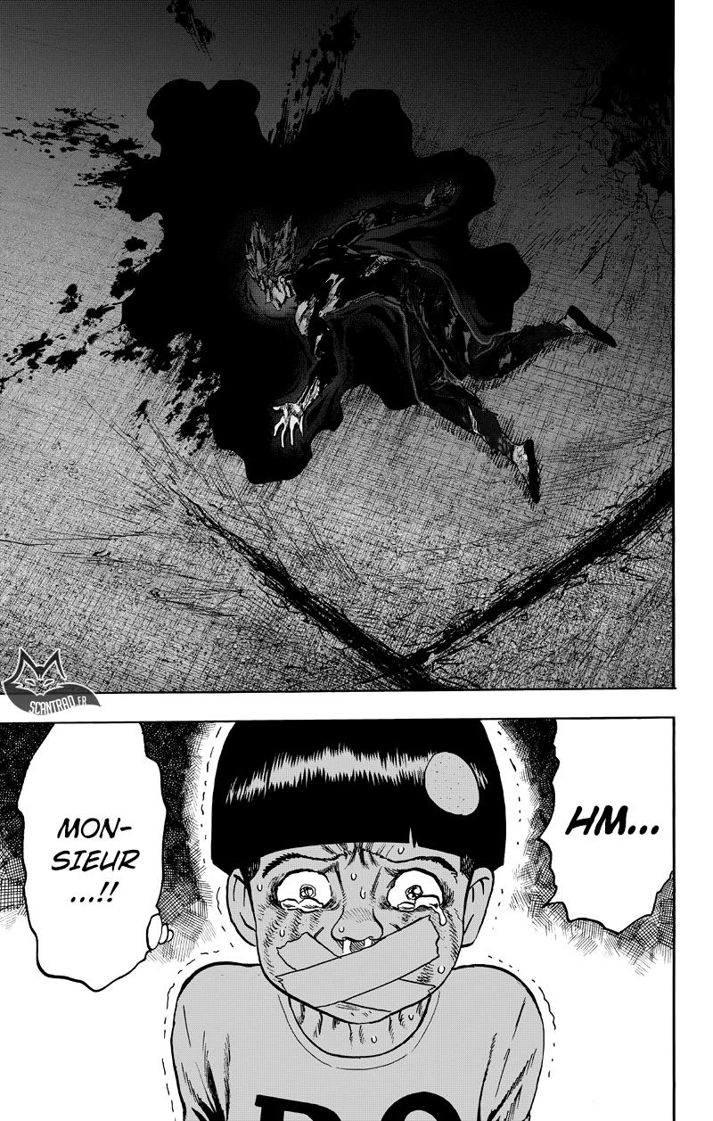 Read One Punch man (fr) Manga Online