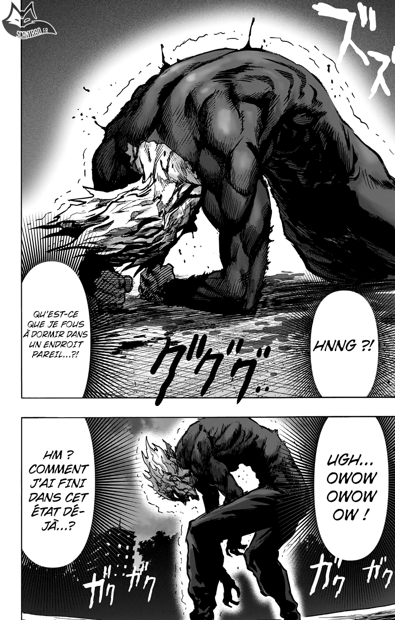 Read One Punch man (fr) Manga Online