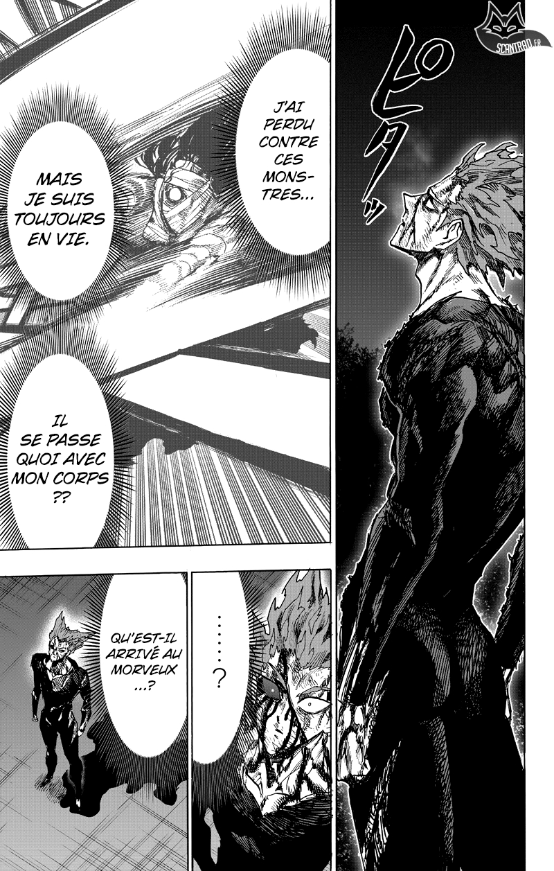 Read One Punch man (fr) Manga Online