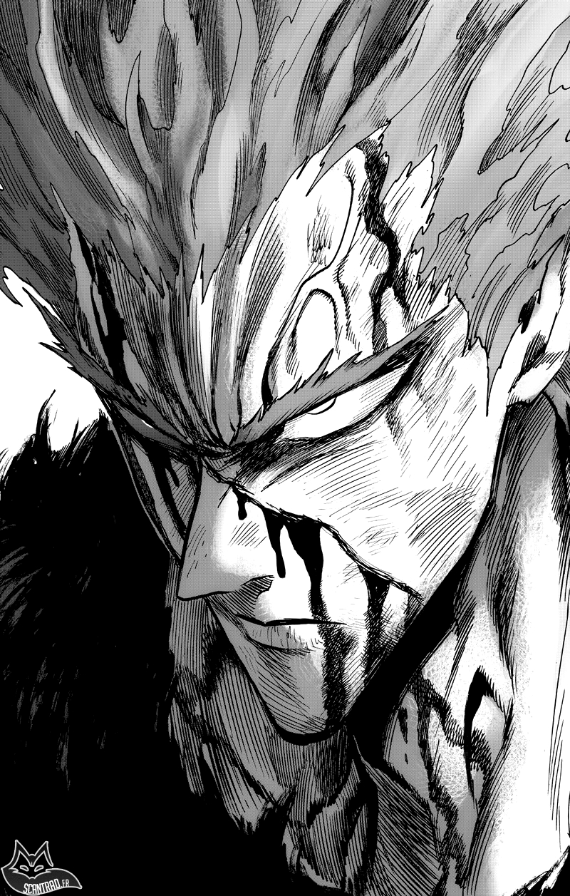 Read One Punch man (fr) Manga Online