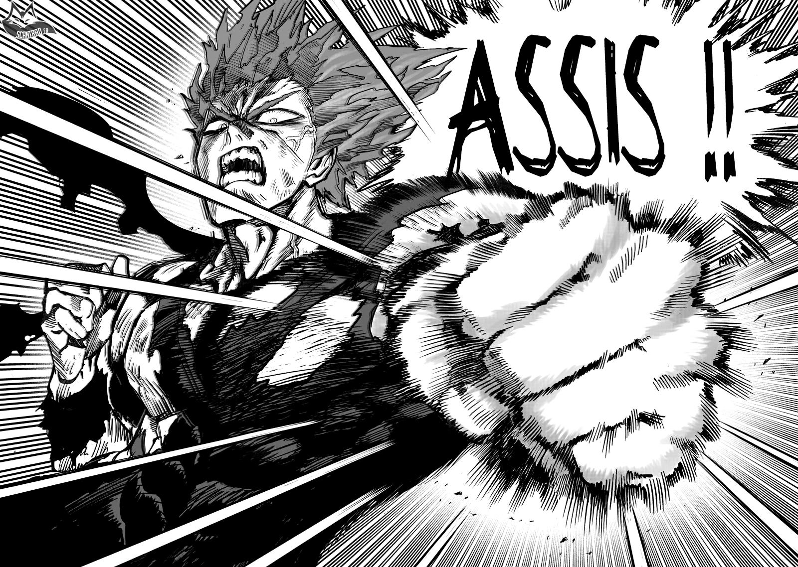 Read One Punch man (fr) Manga Online