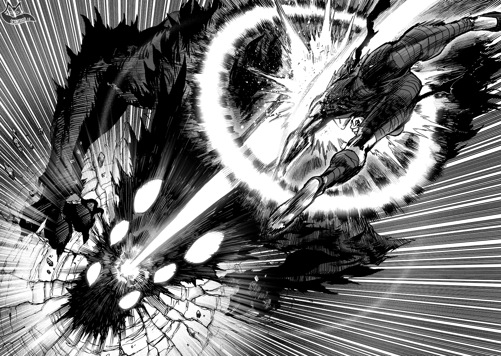 Read One Punch man (fr) Manga Online