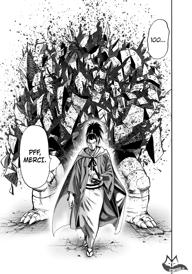 Read One Punch man (fr) Manga Online