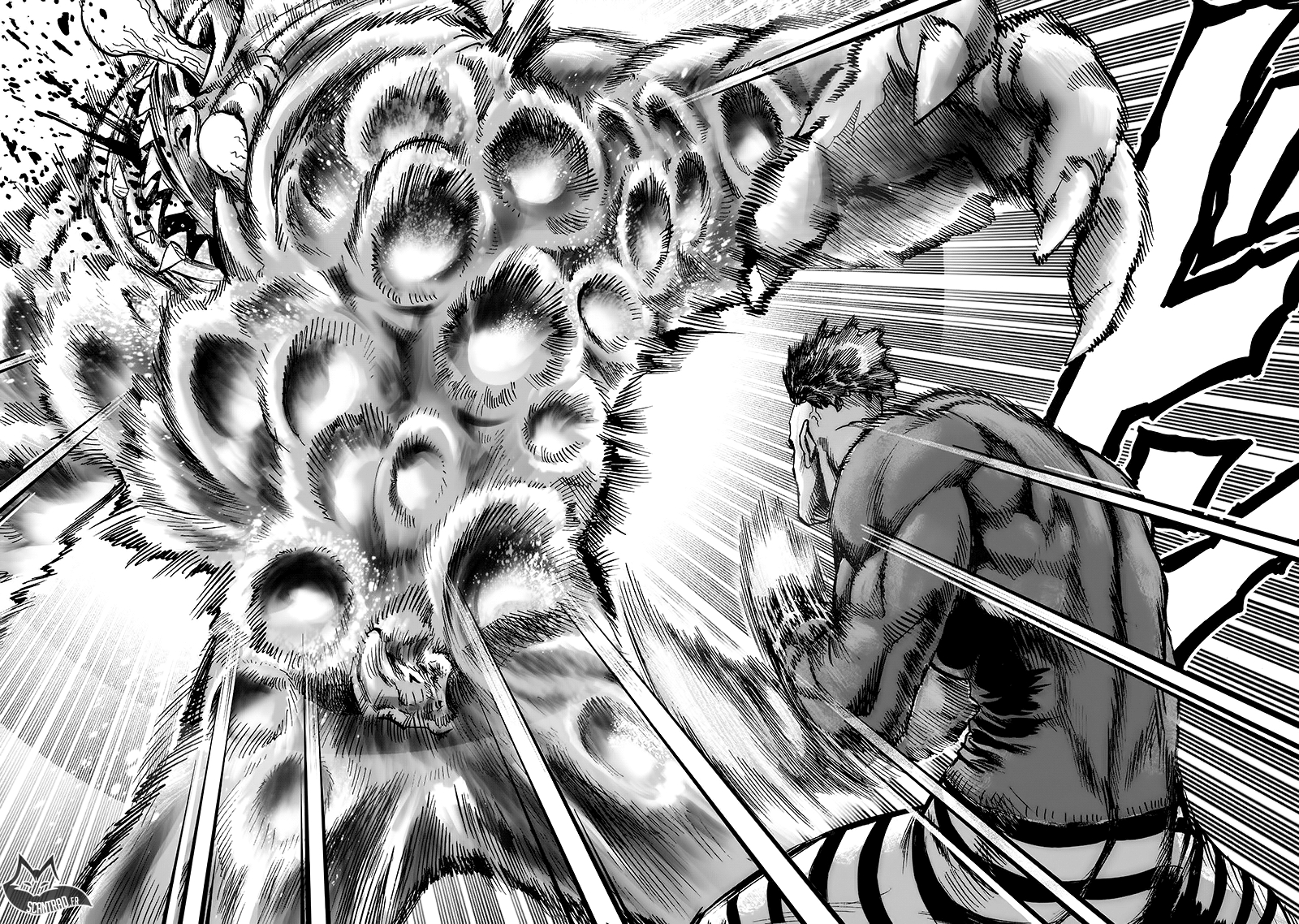 Read One Punch man (fr) Manga Online