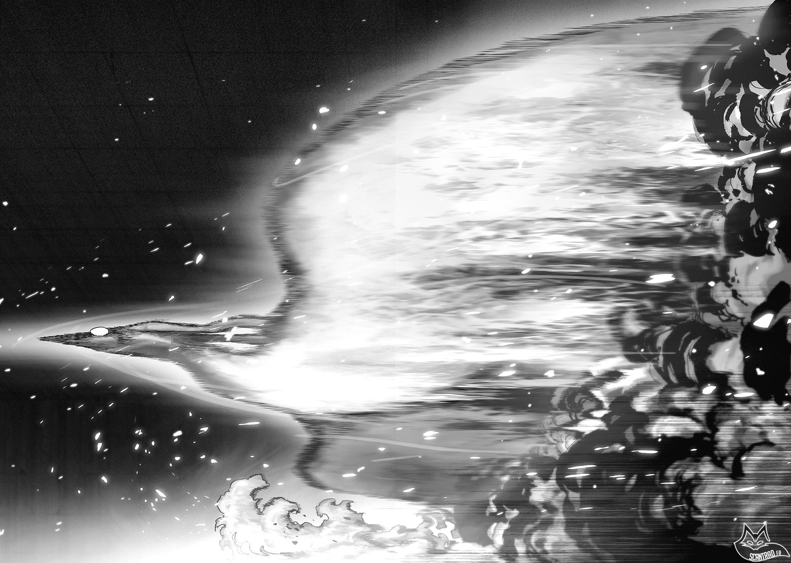 Read One Punch man (fr) Manga Online
