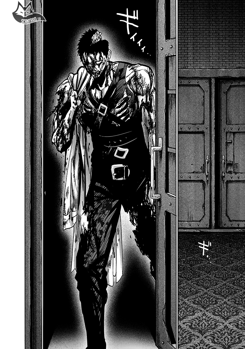 Read One Punch man (fr) Manga Online