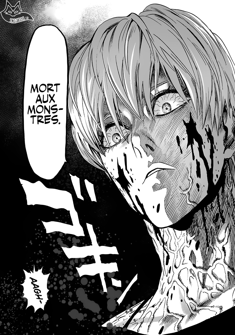 Read One Punch man (fr) Manga Online