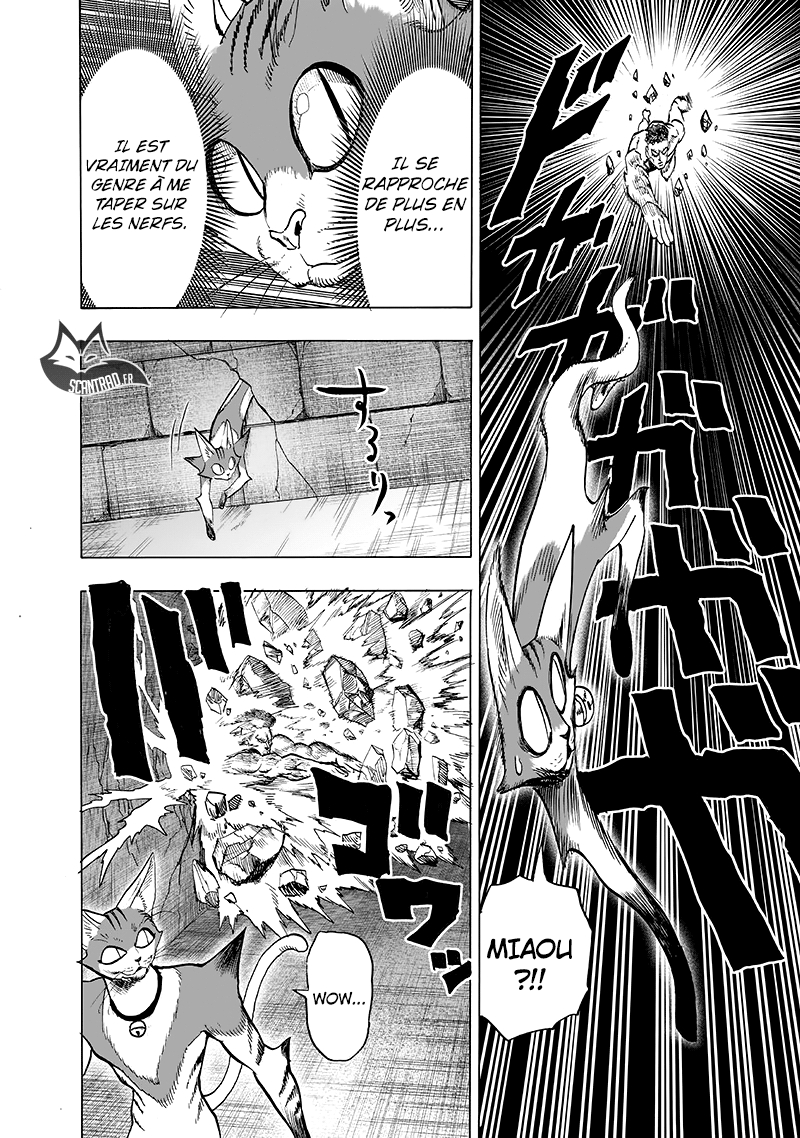 Read One Punch man (fr) Manga Online