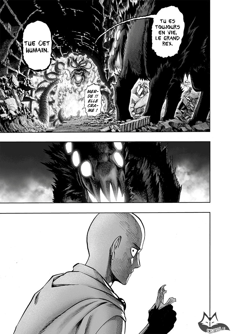 Read One Punch man (fr) Manga Online