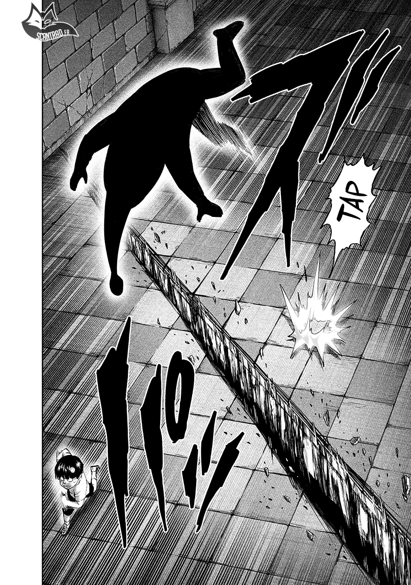 Read One Punch man (fr) Manga Online
