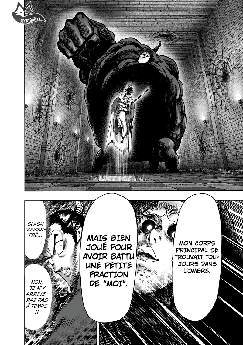 Read One Punch man (fr) Manga Online