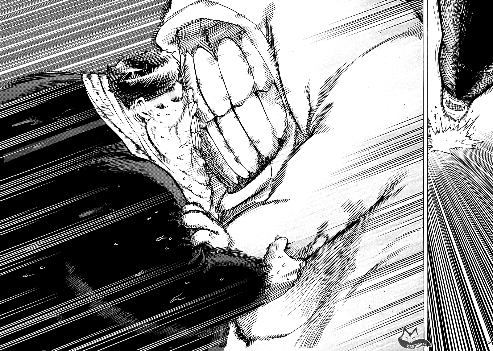 Read One Punch man (fr) Manga Online
