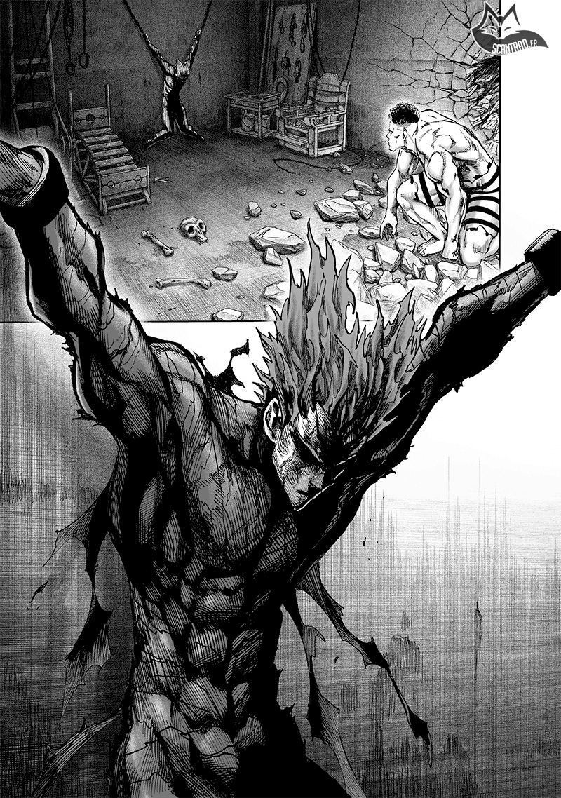 Read One Punch man (fr) Manga Online