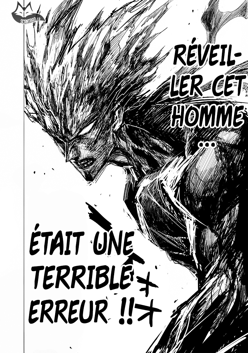 Read One Punch man (fr) Manga Online