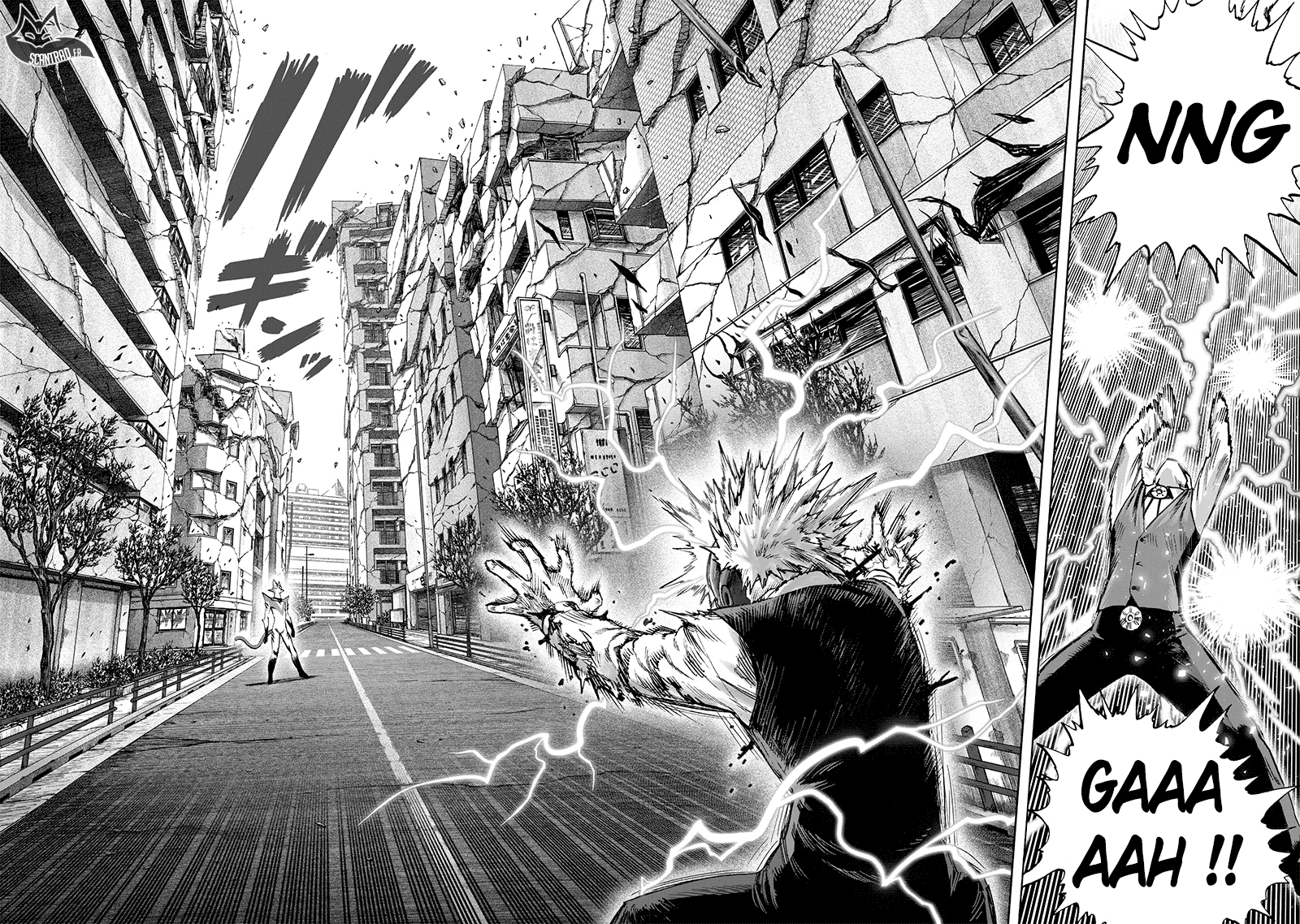 Read One Punch man (fr) Manga Online