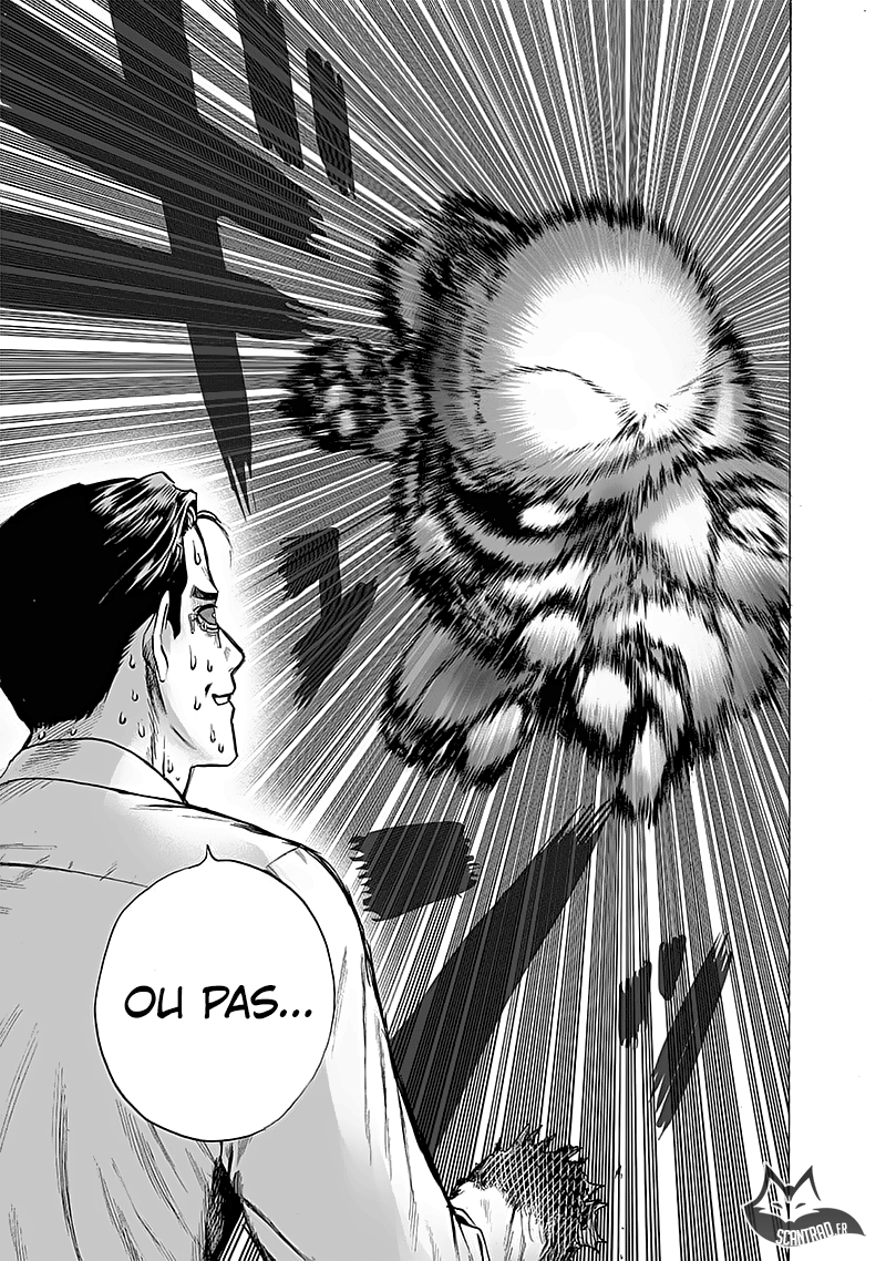 Read One Punch man (fr) Manga Online