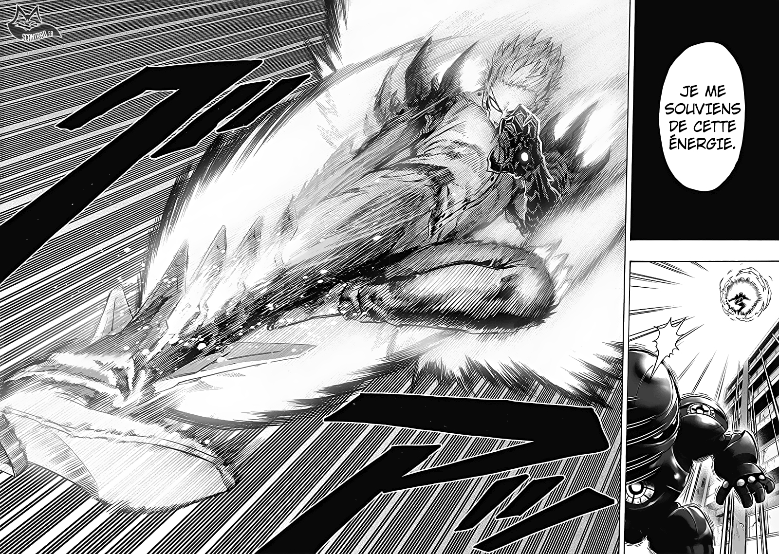 Read One Punch man (fr) Manga Online