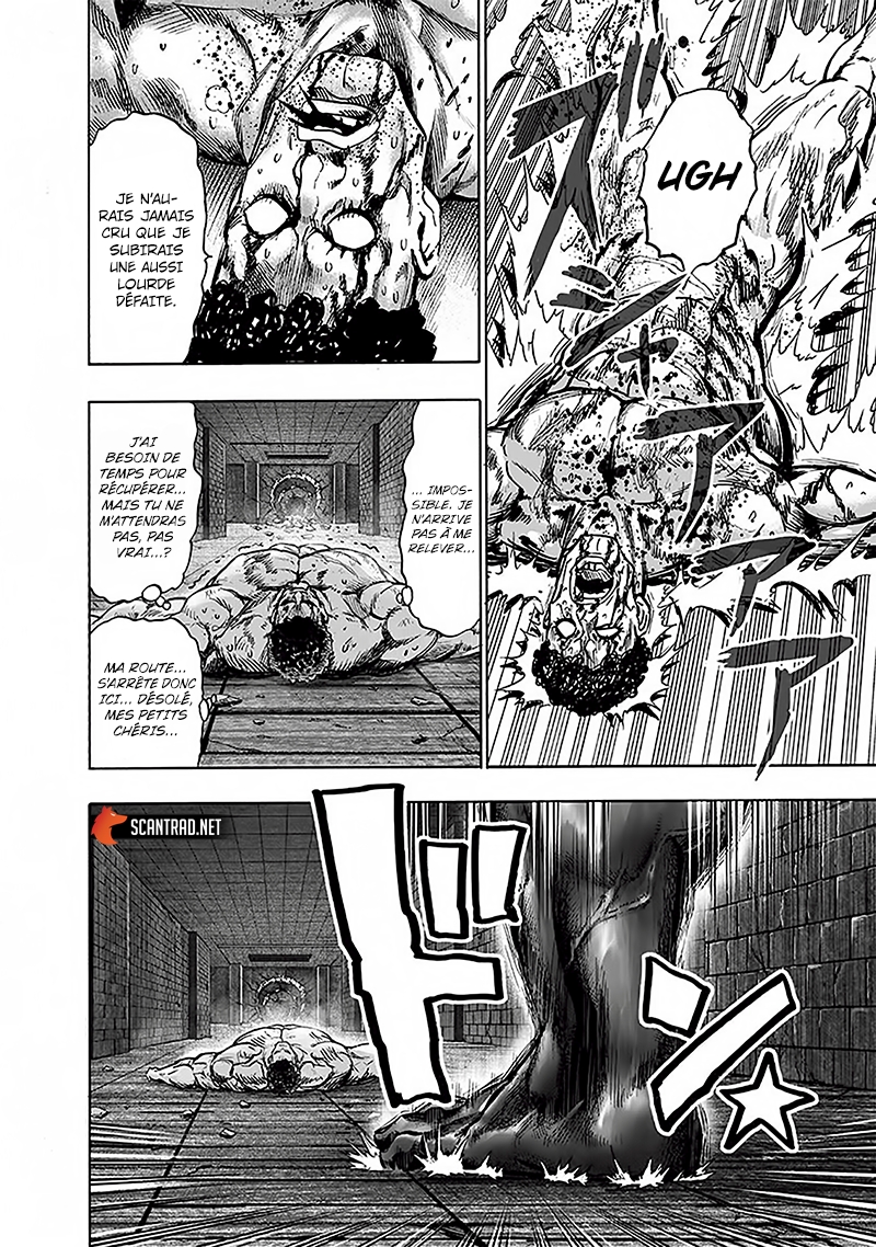 Read One Punch man (fr) Manga Online