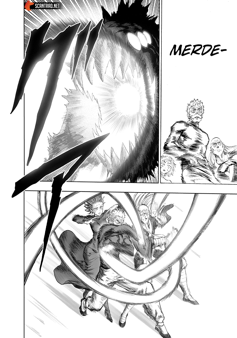 Read One Punch man (fr) Manga Online