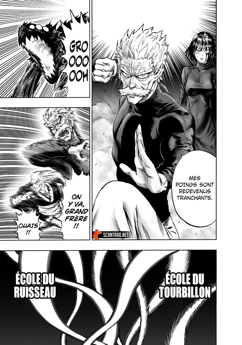 Read One Punch man (fr) Manga Online
