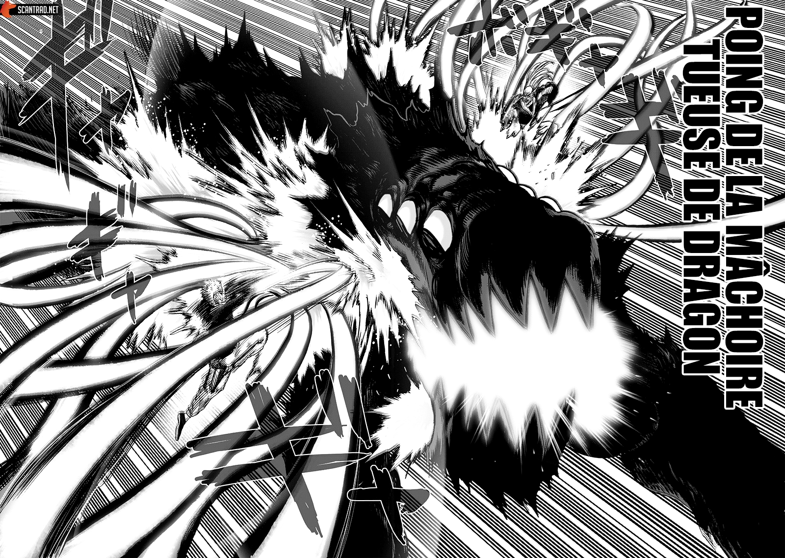 Read One Punch man (fr) Manga Online
