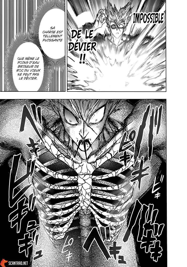 Read One Punch man (fr) Manga Online