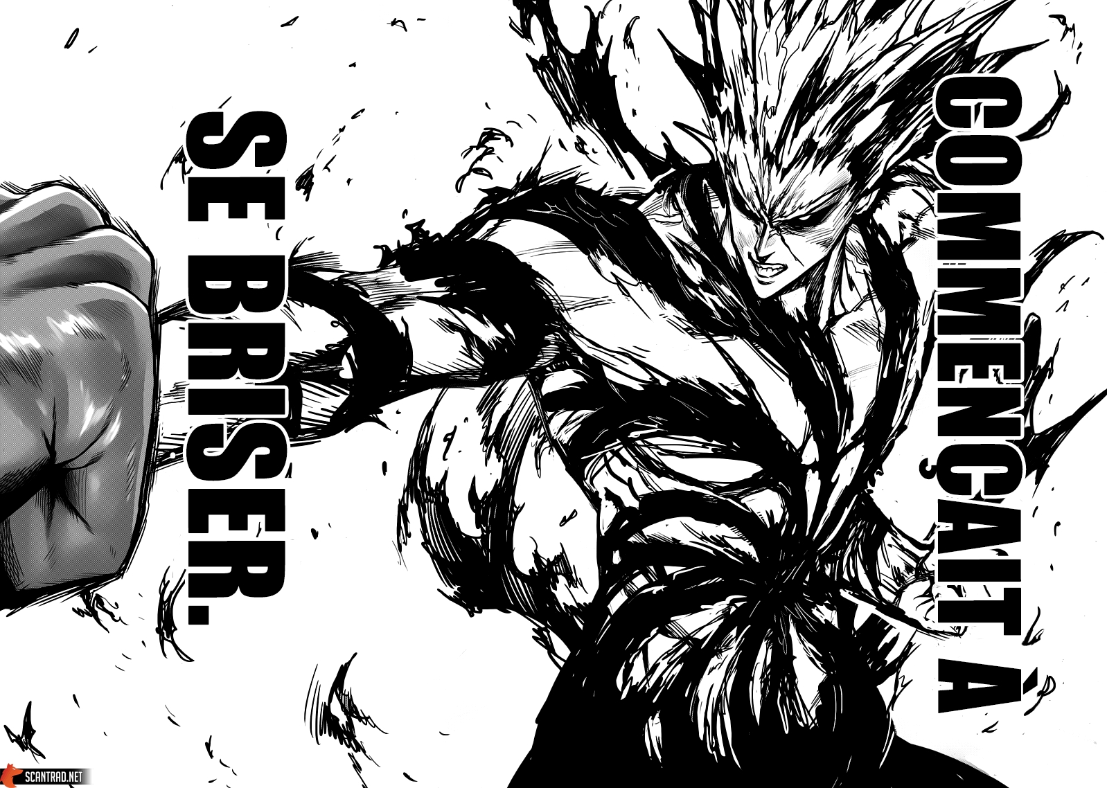 Read One Punch man (fr) Manga Online