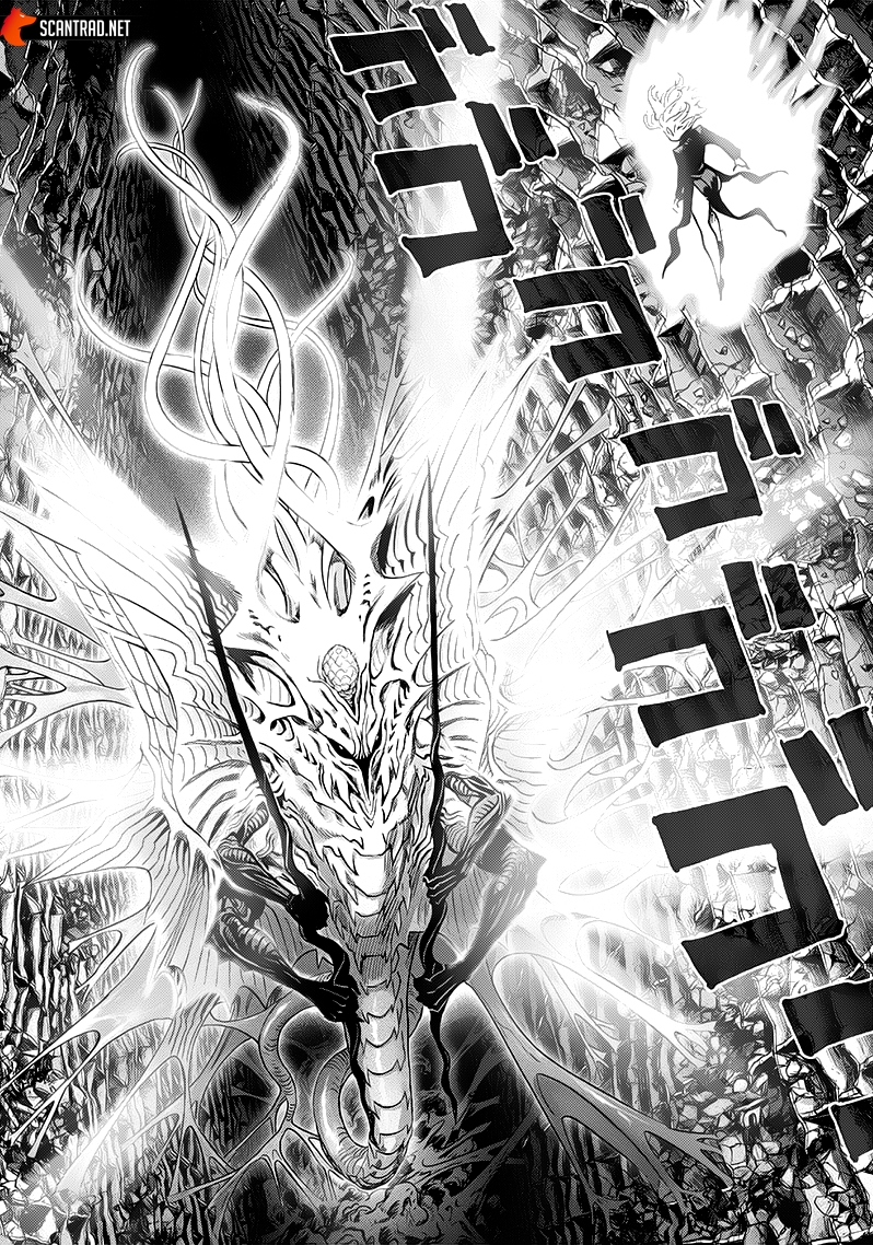 Read One Punch man (fr) Manga Online