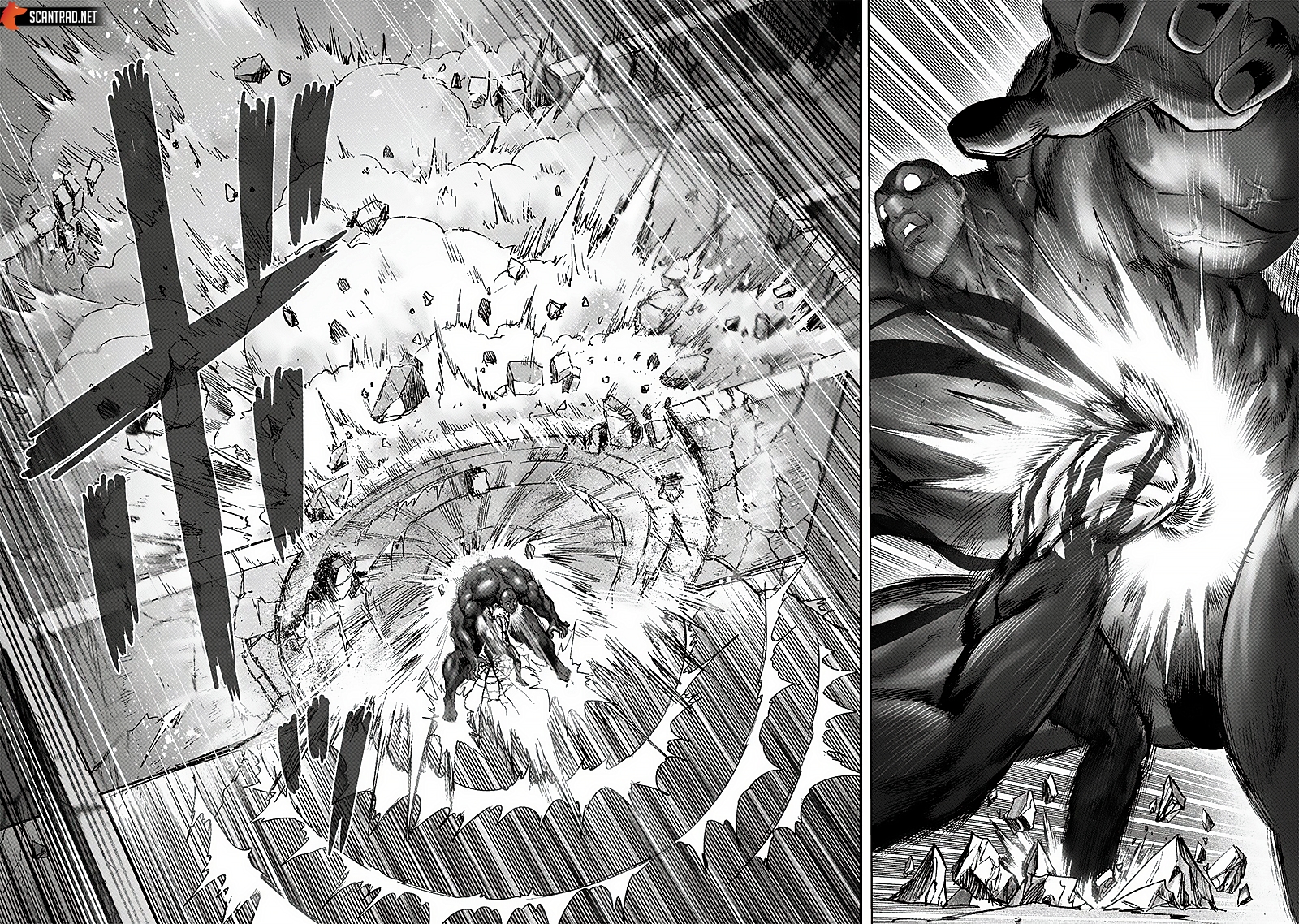 Read One Punch man (fr) Manga Online