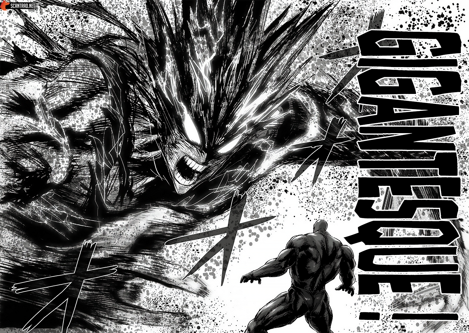 Read One Punch man (fr) Manga Online
