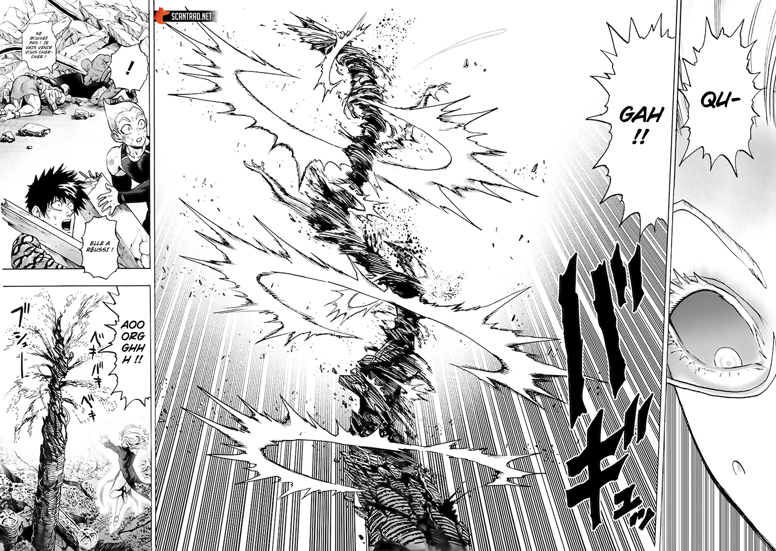 Read One Punch man (fr) Manga Online