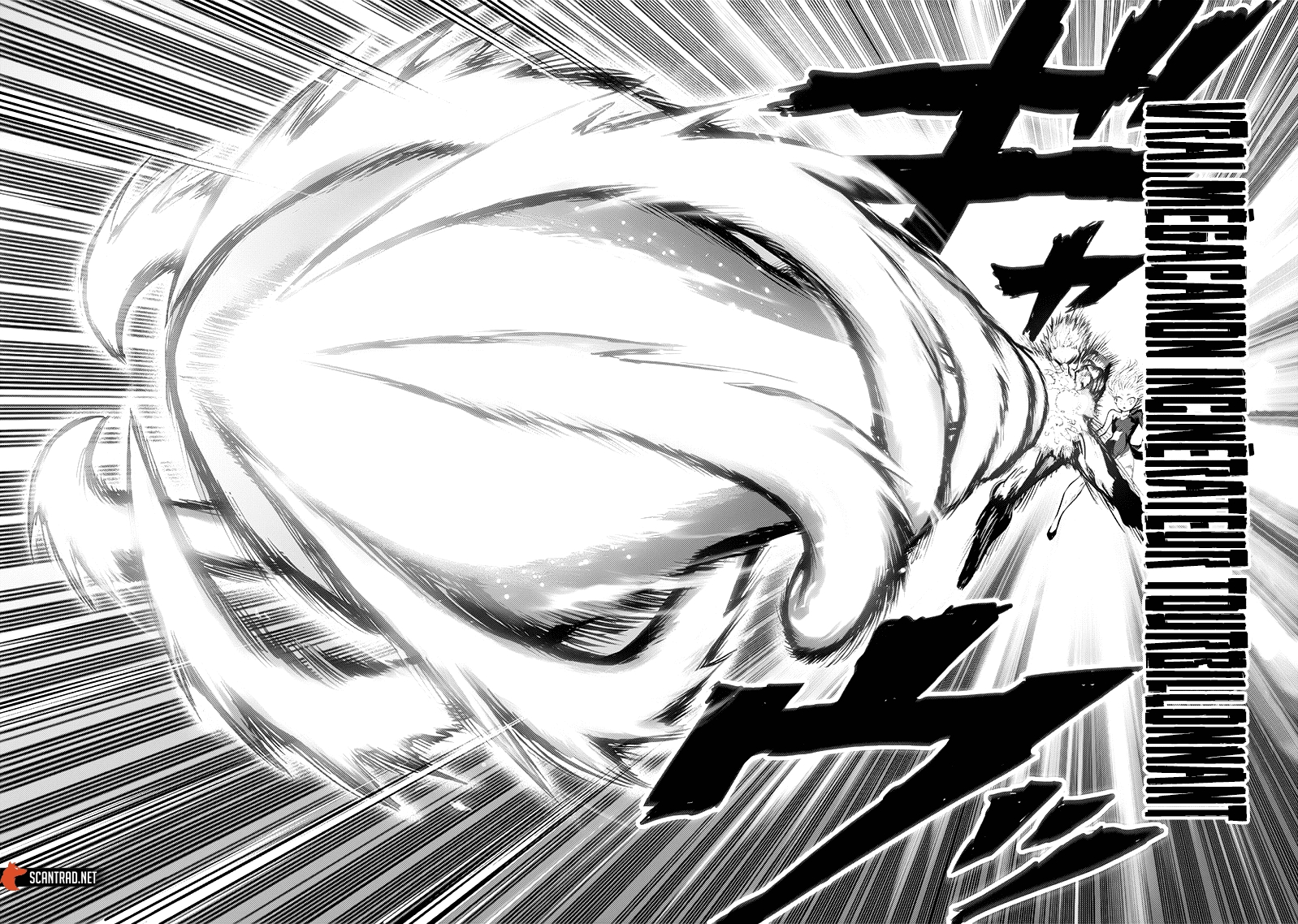 Read One Punch man (fr) Manga Online