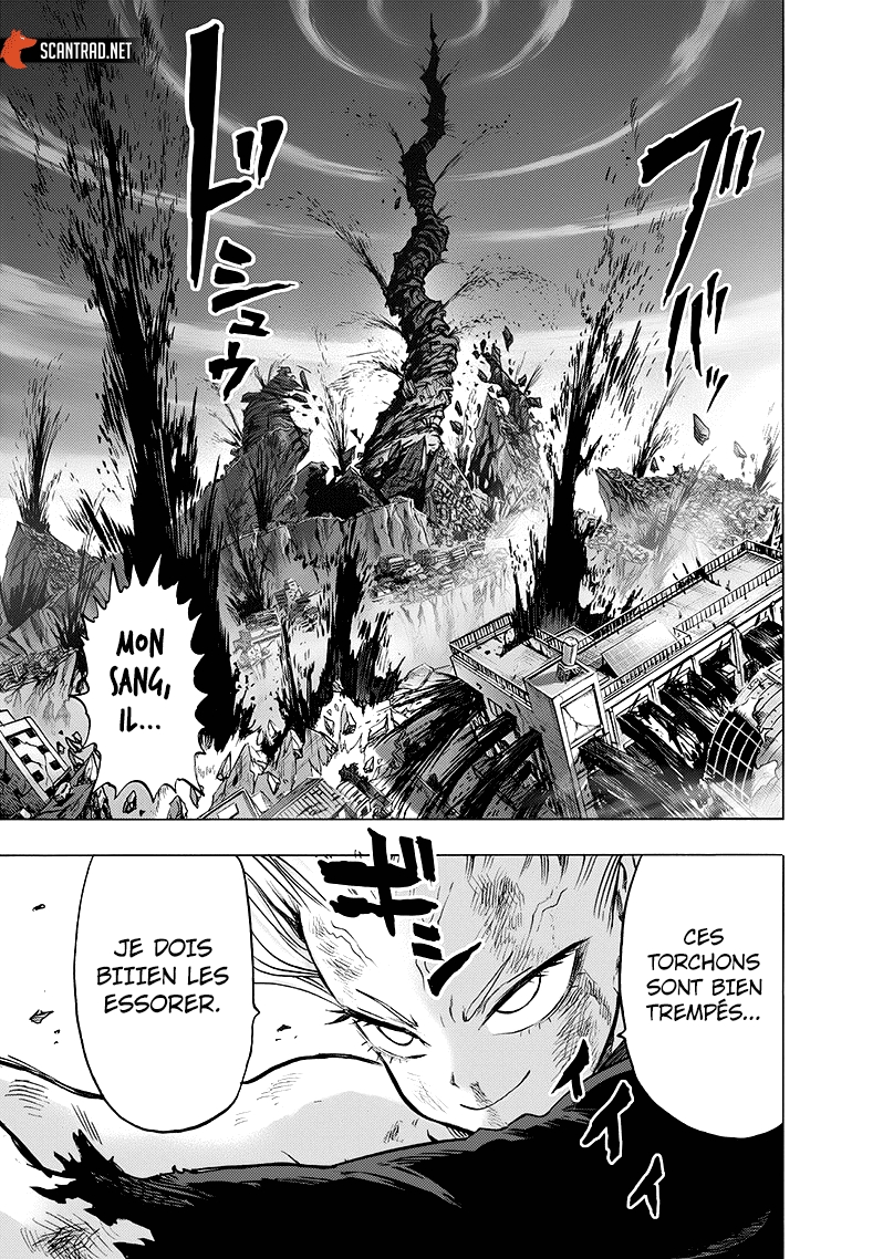 Read One Punch man (fr) Manga Online