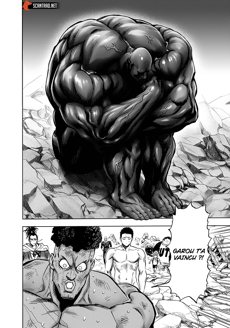 Read One Punch man (fr) Manga Online