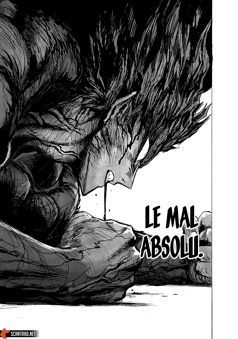 Read One Punch man (fr) Manga Online
