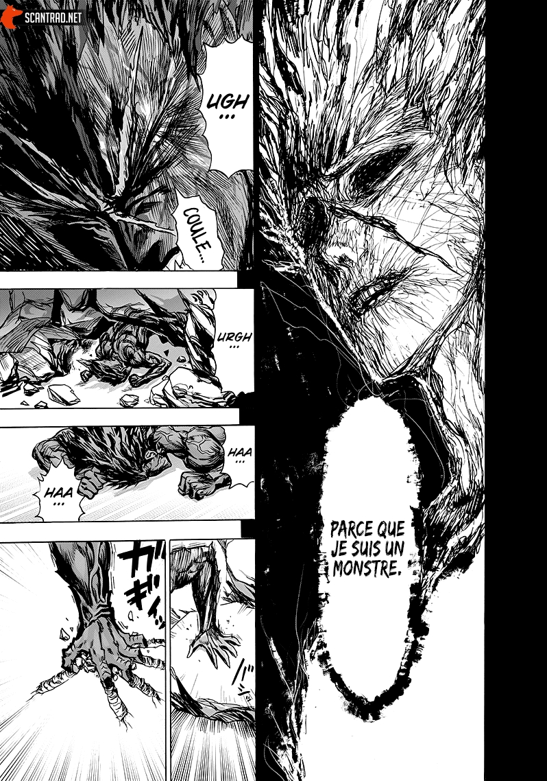 Read One Punch man (fr) Manga Online