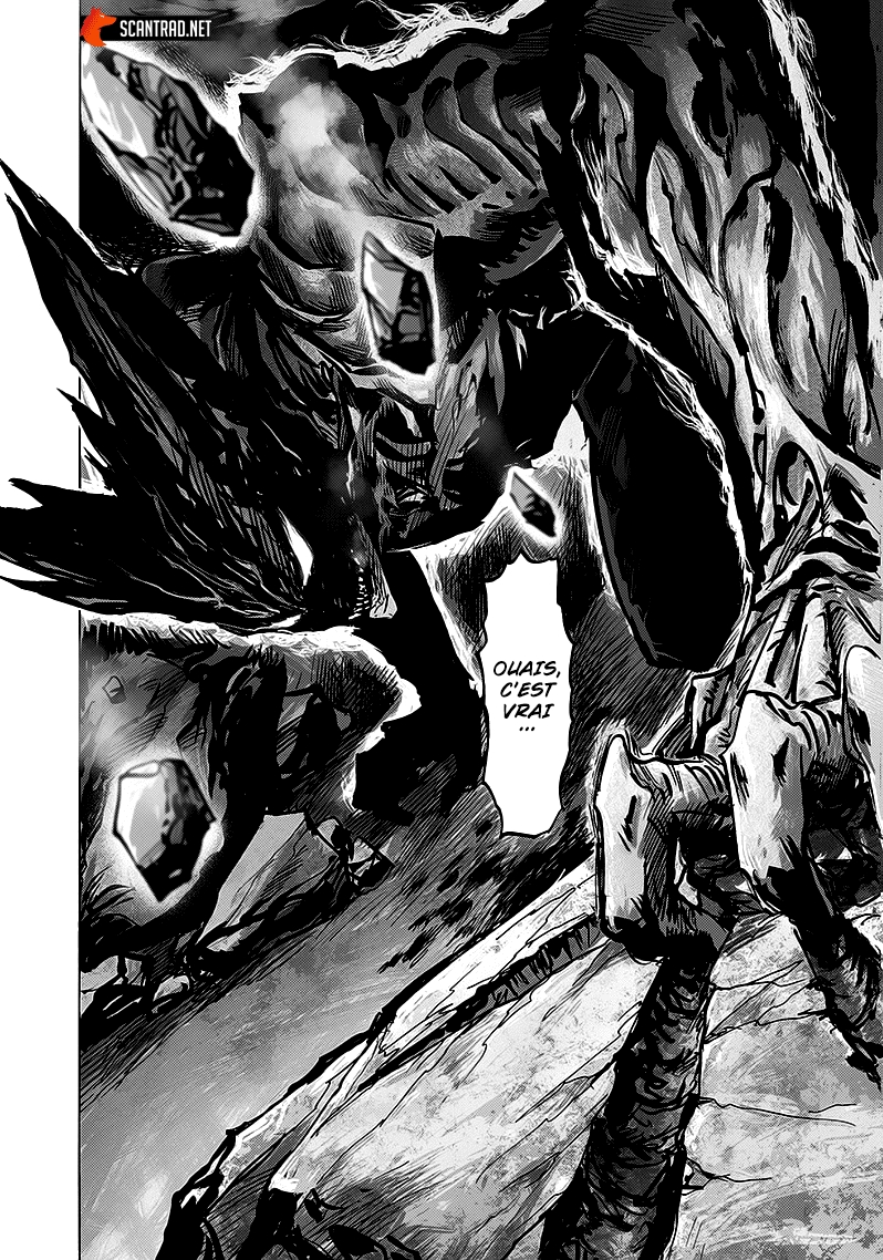 Read One Punch man (fr) Manga Online