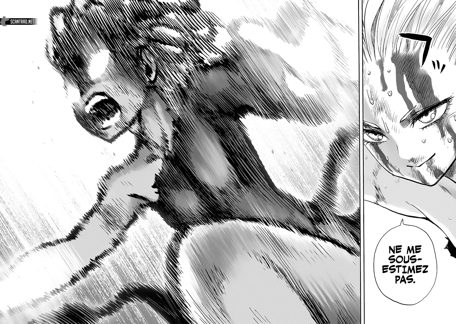 Read One Punch man (fr) Manga Online