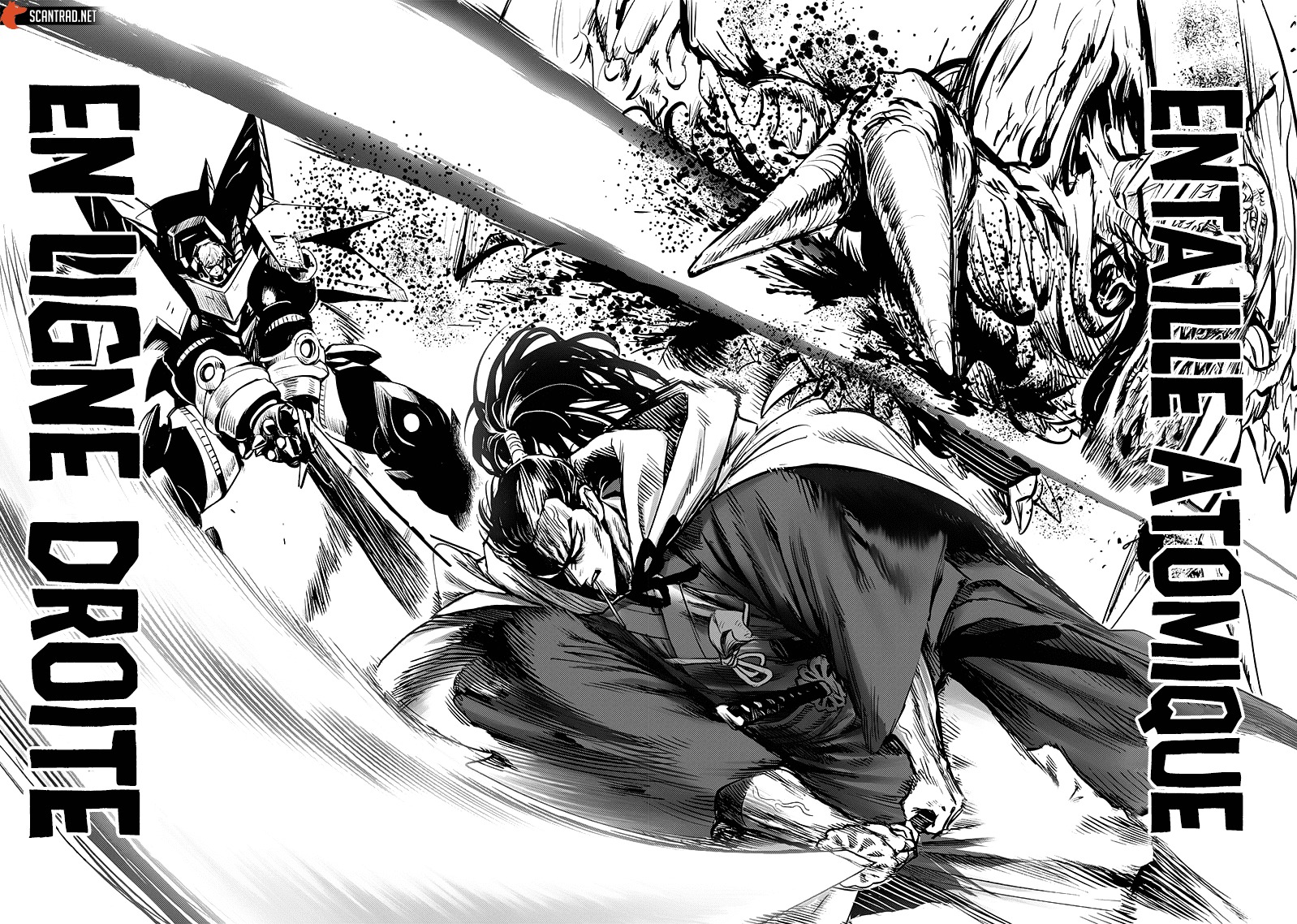 Read One Punch man (fr) Manga Online