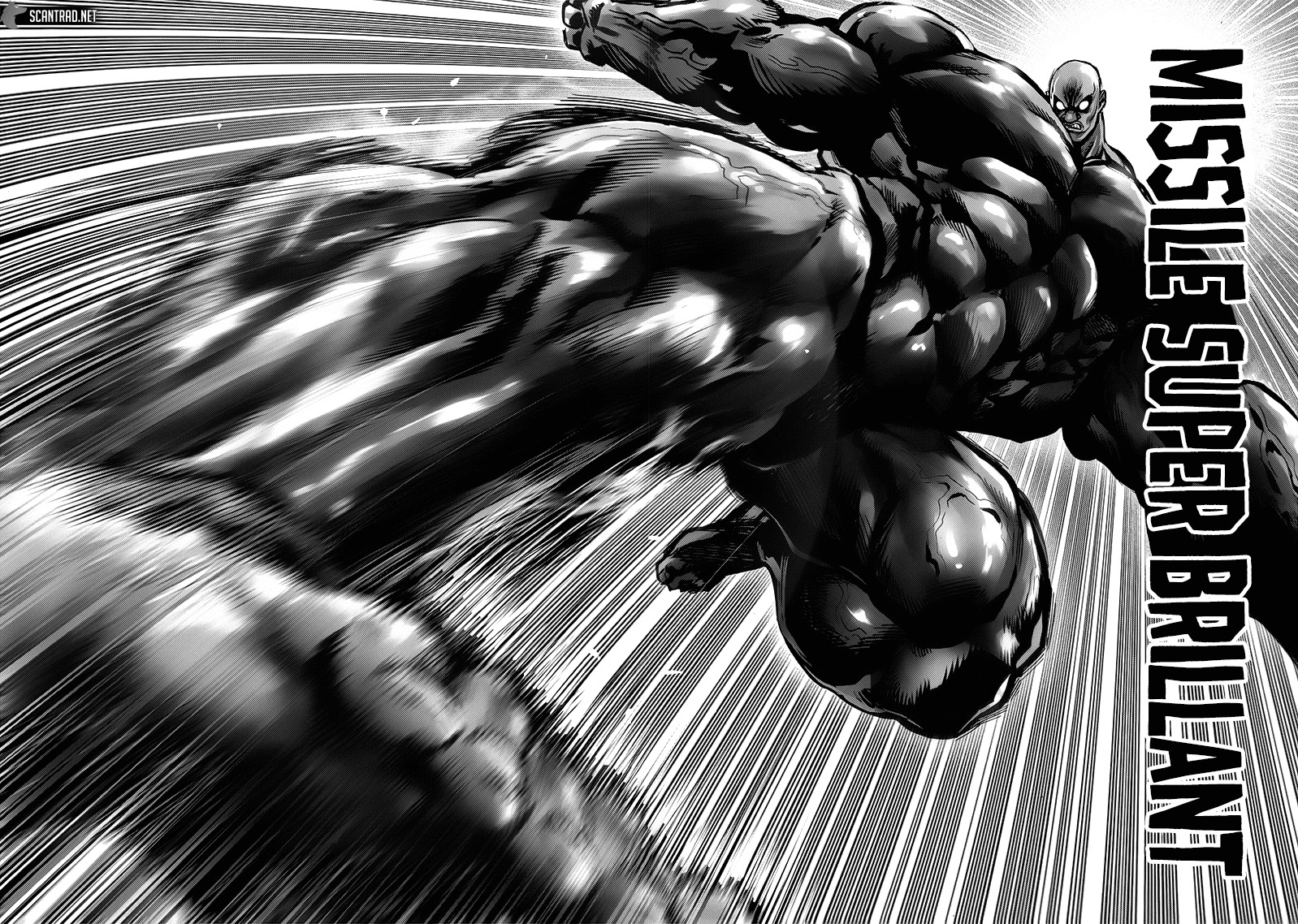 Read One Punch man (fr) Manga Online