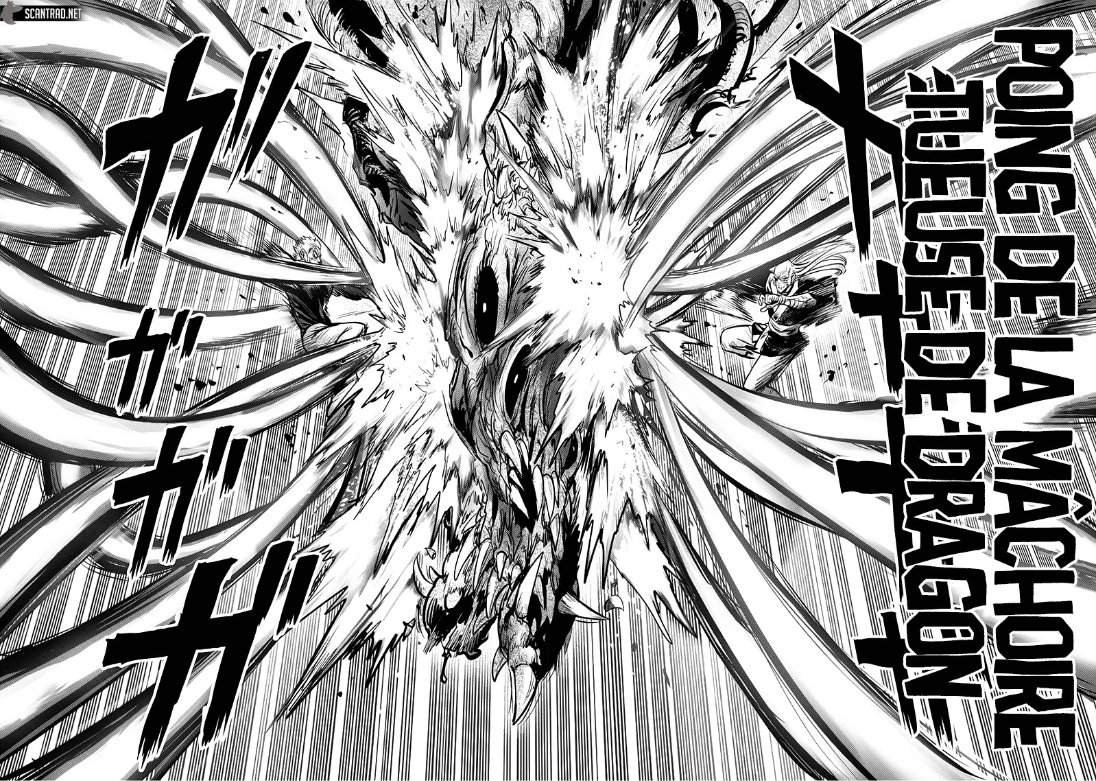 Read One Punch man (fr) Manga Online