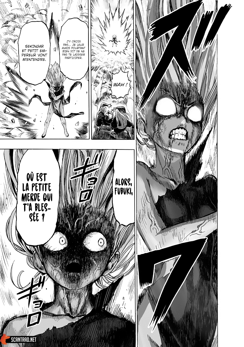 Read One Punch man (fr) Manga Online