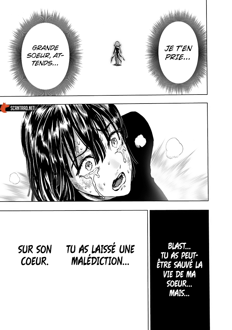 Read One Punch man (fr) Manga Online