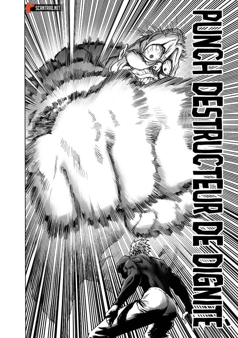 Read One Punch man (fr) Manga Online