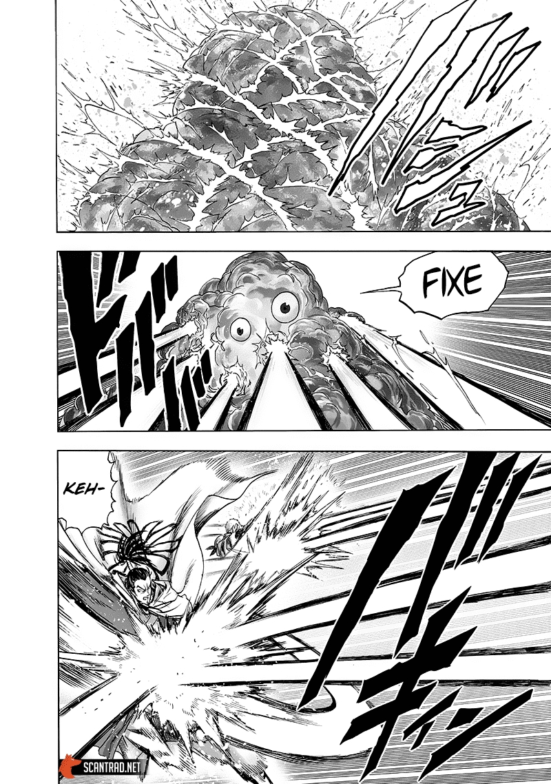 Read One Punch man (fr) Manga Online
