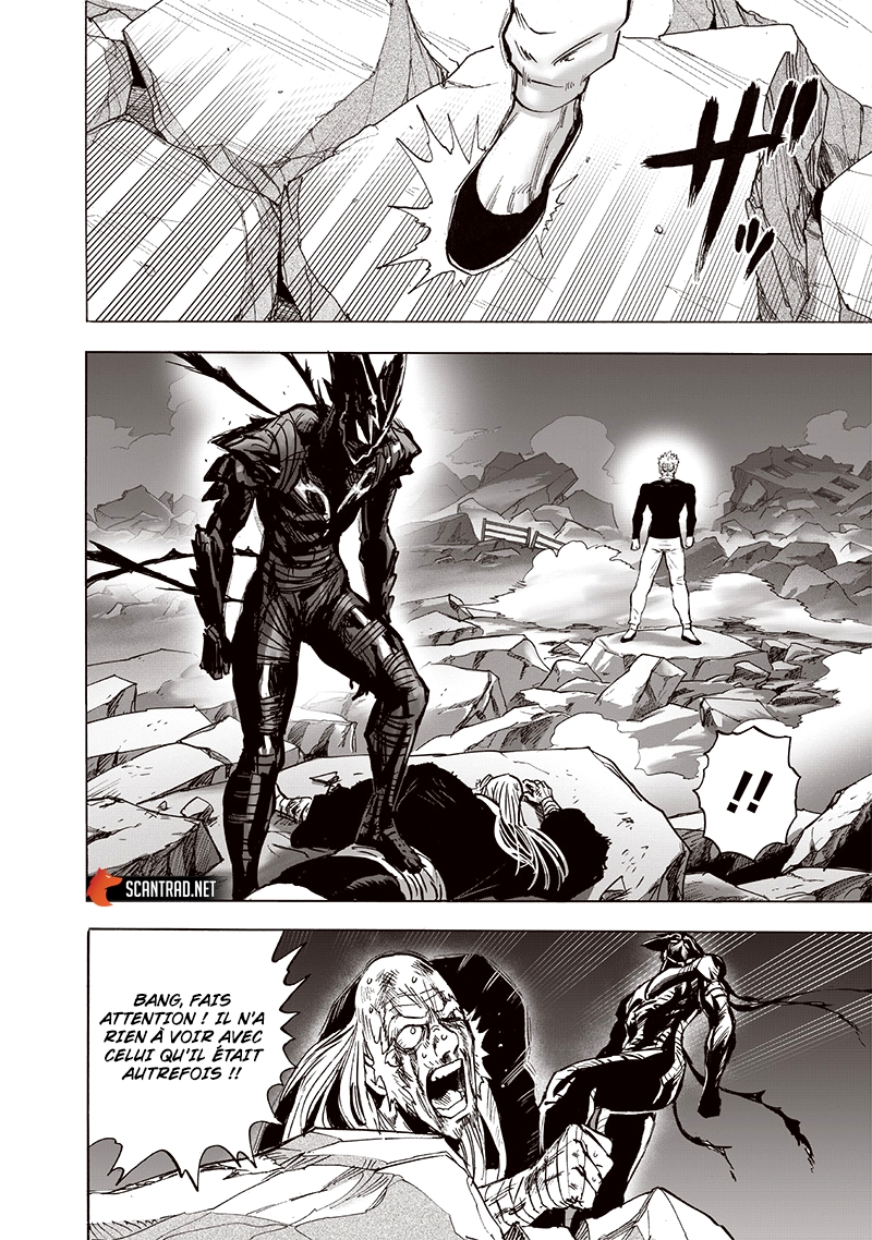 Read One Punch man (fr) Manga Online