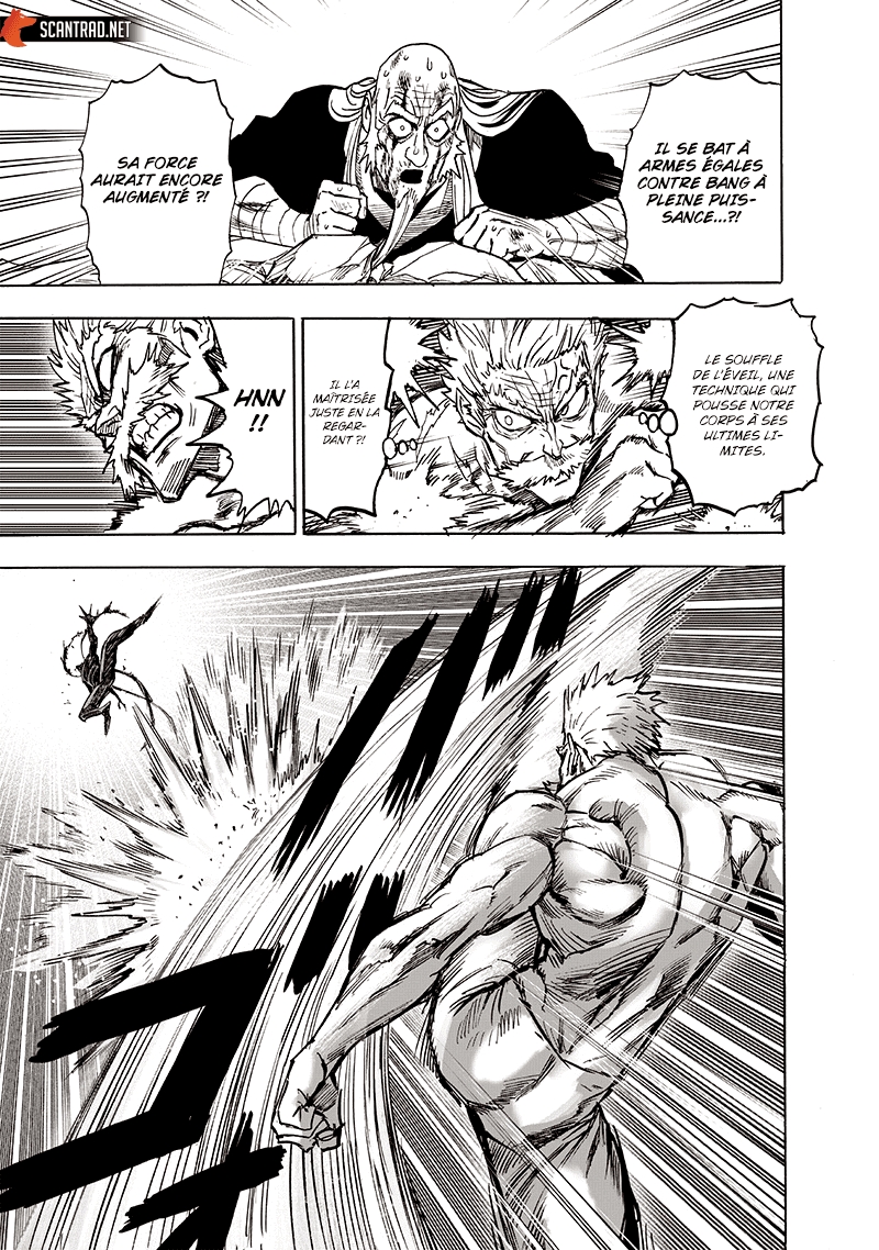 Read One Punch man (fr) Manga Online