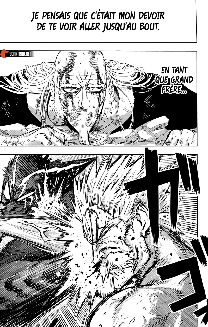 Read One Punch man (fr) Manga Online